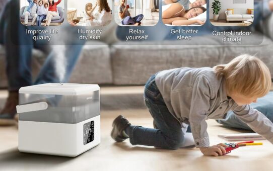 Comparing 5 Top Air Purifiers and Humidifiers for Home
